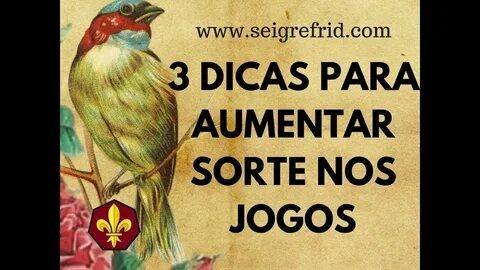 bot de apostas betfair 